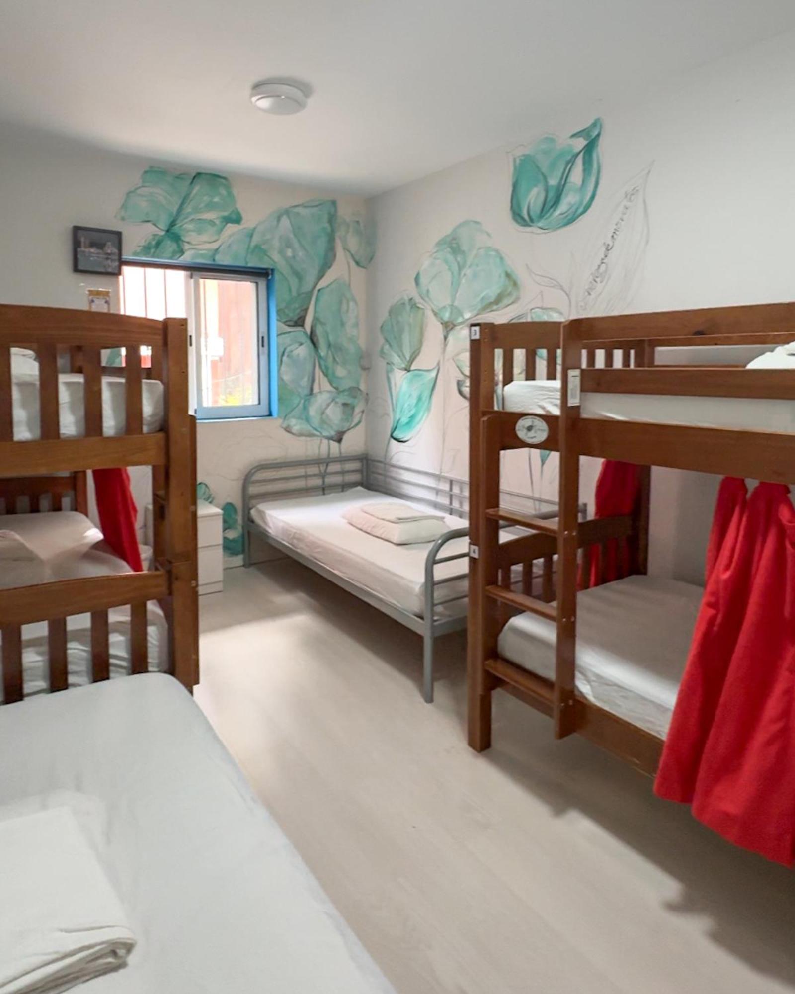 Tenerife Experience Hostel Santa Cruz de Tenerife Bagian luar foto